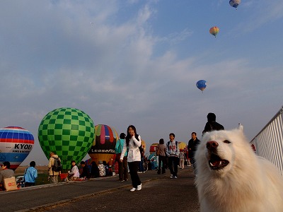 アジア最大の熱気球イベント