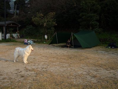 キャンプ場でテントとタープをセッティング