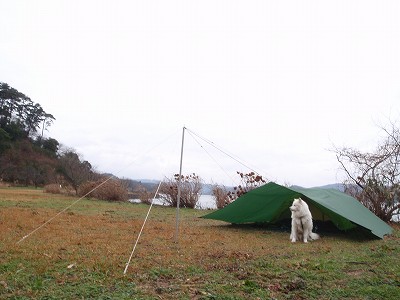 鳥取県の青島でキャンプ